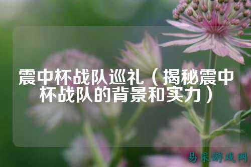 震中杯战队巡礼（揭秘震中杯战队的背景和实力）