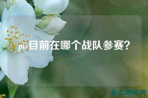 pis目前在哪个战队参赛？