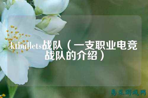 ktbullets战队（一支职业电竞战队的介绍）