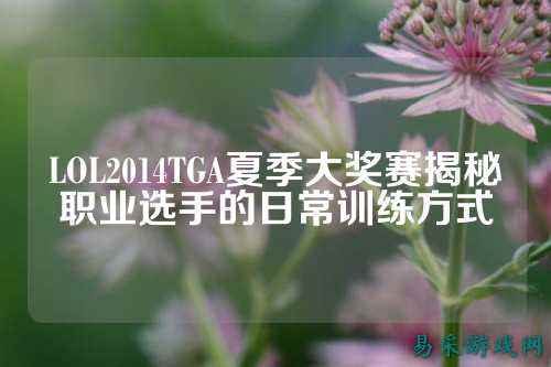 LOL2014TGA夏季大奖赛揭秘职业选手的日常训练方式