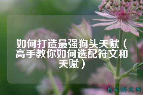 如何打造最强狗头天赋（高手教你如何选配符文和天赋）