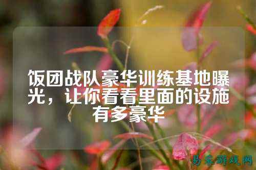 饭团战队豪华训练基地曝光，让你看看里面的设施有多豪华