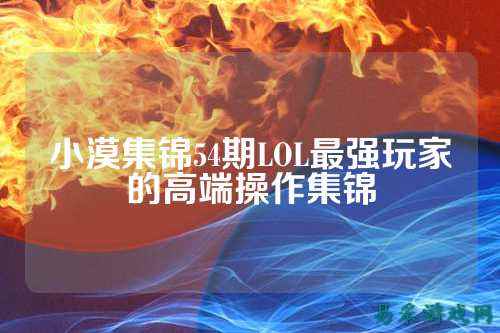 小漠集锦54期LOL最强玩家的高端操作集锦