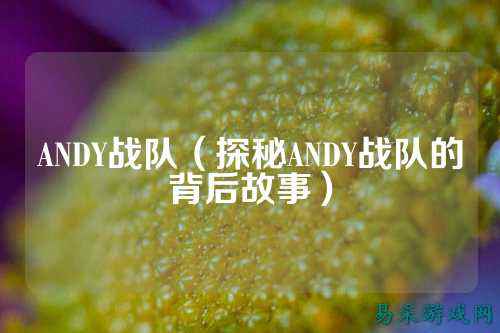 ANDY战队（探秘ANDY战队的背后故事）