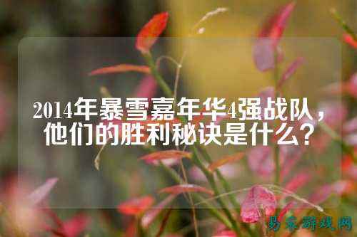 2014年暴雪嘉年华4强战队，他们的胜利秘诀是什么？