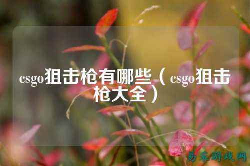 csgo狙击枪有哪些(csgo狙击枪大全)