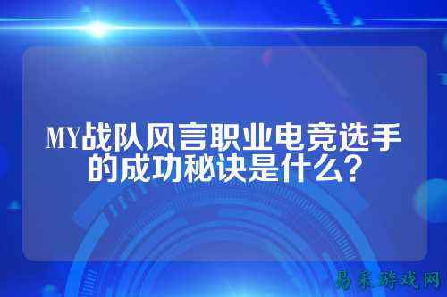 MY战队风言职业电竞选手的成功秘诀是什么？