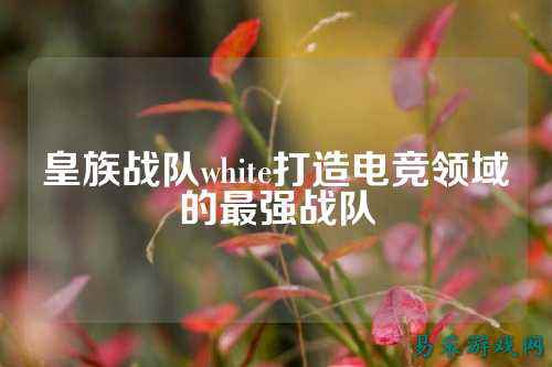 皇族战队white打造电竞领域的最强战队