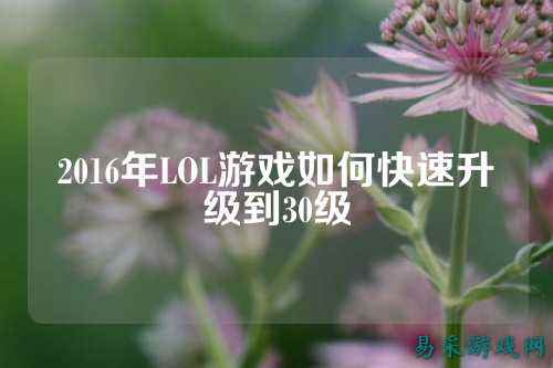 2016年LOL游戏如何快速升级到30级