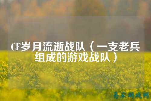 CF岁月流逝战队（一支老兵组成的游戏战队）