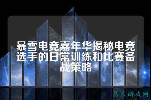 暴雪电竞嘉年华揭秘电竞选手的日常训练和比赛备战策略