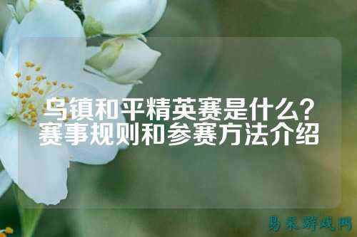乌镇和平精英赛是什么？赛事规则和参赛方法介绍