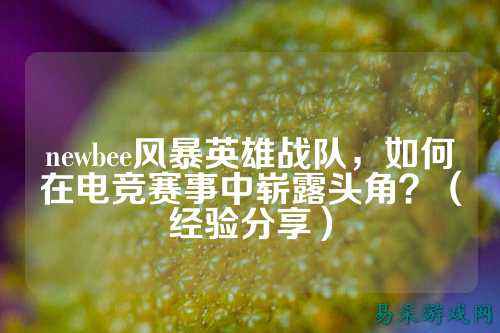 newbee风暴英雄战队，如何在电竞赛事中崭露头角？（经验分享）