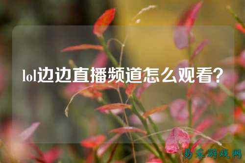 lol边边直播频道怎么观看？