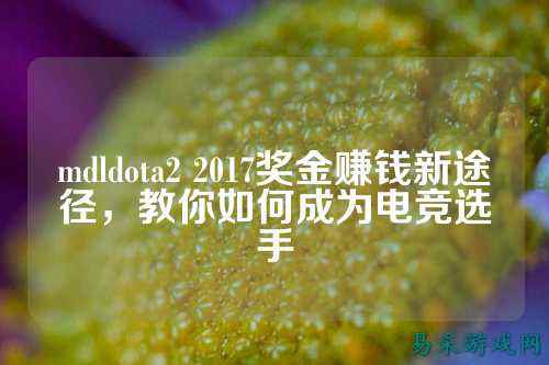 mdldota2 2017奖金赚钱新途径，教你如何成为电竞选手