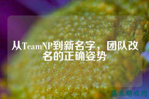 从TeamNP到新名字，团队改名的正确姿势