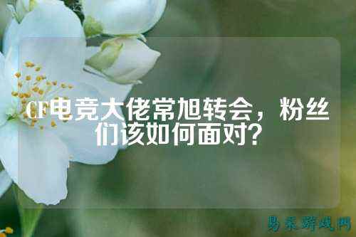 CF电竞大佬常旭转会，粉丝们该如何面对？