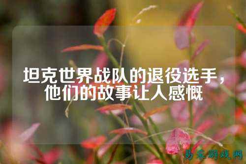 坦克世界战队的退役选手，他们的故事让人感慨