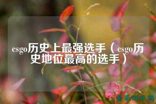 csgo历史上最强选手（csgo历史地位最高的选手）