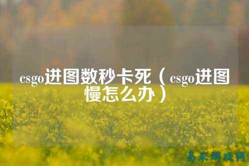 csgo进图数秒卡死（csgo进图慢怎么办）