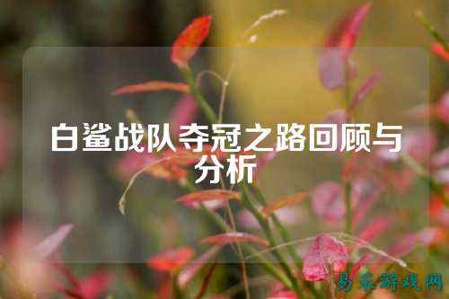 白鲨战队夺冠之路回顾与分析