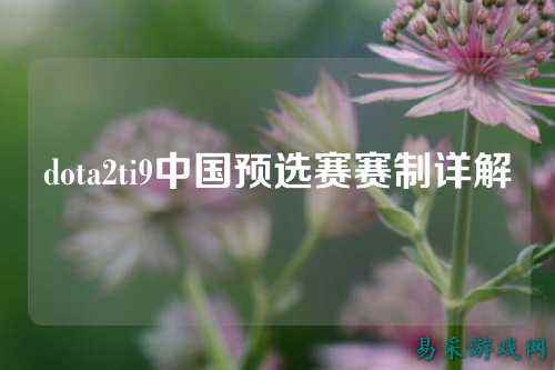 dota2ti9中国预选赛赛制详解