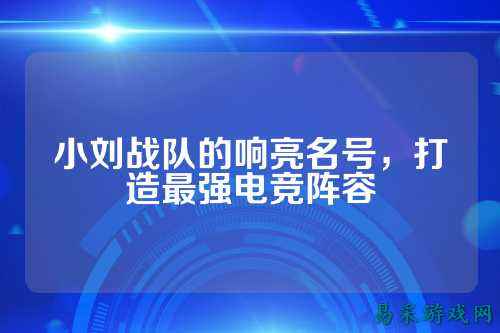 小刘战队的响亮名号，打造最强电竞阵容