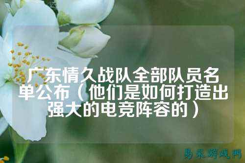 广东情久战队全部队员名单公布（他们是如何打造出强大的电竞阵容的）