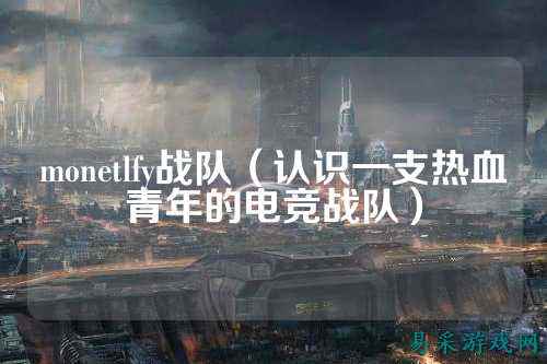 monetlfy战队（认识一支热血青年的电竞战队）