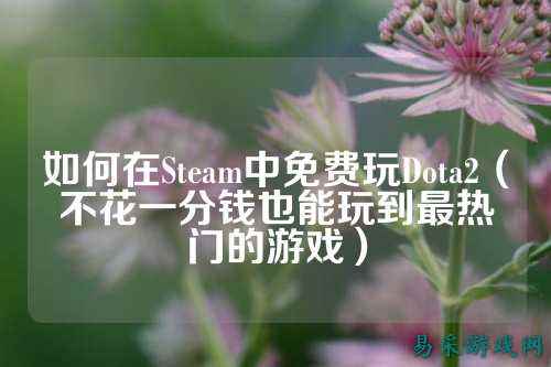 如何在Steam中免费玩Dota2(不花一分钱也能玩到最热门的游戏)