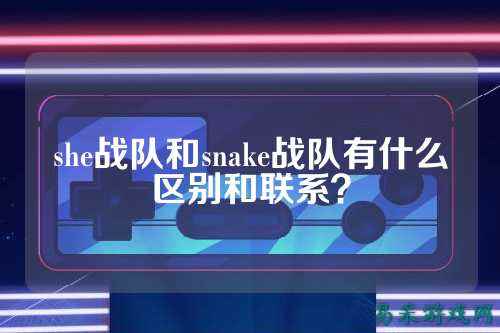 she战队和snake战队有什么区别和联系？