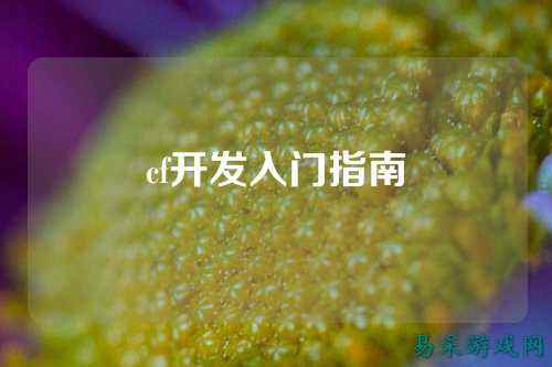 cf开发入门指南