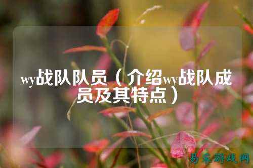 wy战队队员（介绍wy战队成员及其特点）