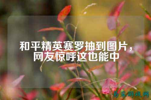 和平精英赛罗抽到图片,网友惊呼这也能中