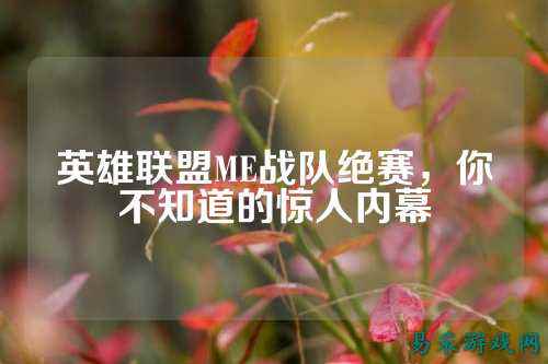 英雄联盟ME战队绝赛，你不知道的惊人内幕