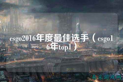 csgo2016年度最佳选手(csgo16年top1)
