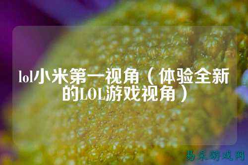 lol小米第一视角(体验全新的LOL游戏视角)