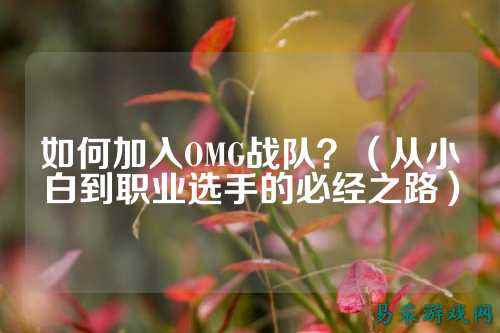 如何加入OMG战队？（从小白到职业选手的必经之路）