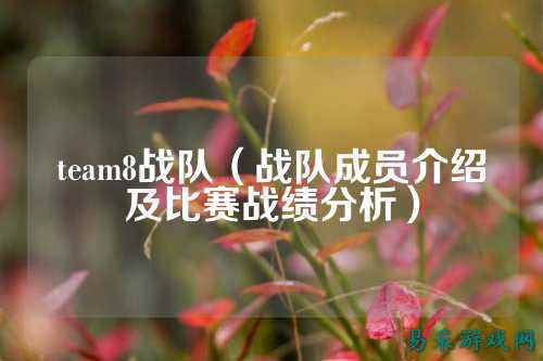 team8战队（战队成员介绍及比赛战绩分析）