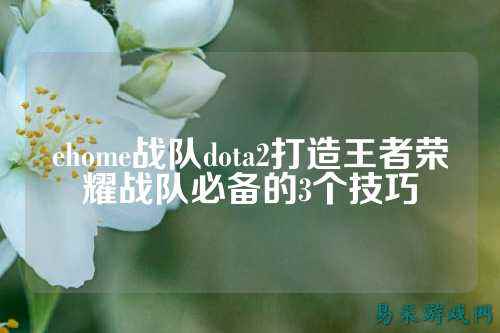 ehome战队dota2打造王者荣耀战队必备的3个技巧