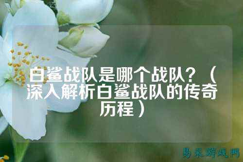 白鲨战队是哪个战队？（深入解析白鲨战队的传奇历程）