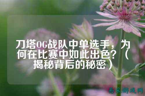 刀塔OG战队中单选手，为何在比赛中如此出色？（揭秘背后的秘密）