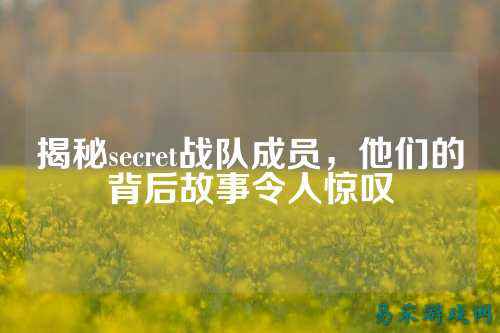揭秘secret战队成员，他们的背后故事令人惊叹