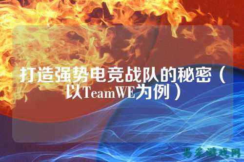 打造强势电竞战队的秘密（以TeamWE为例）