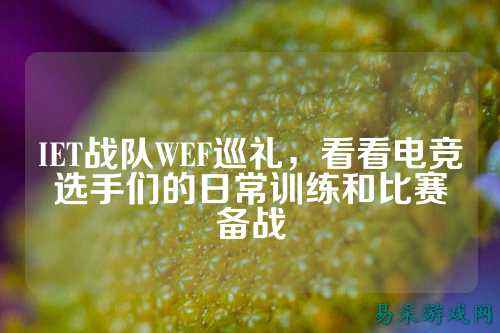 IET战队WEF巡礼，看看电竞选手们的日常训练和比赛备战