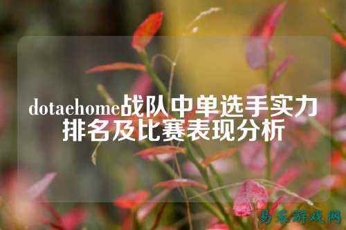 dotaehome战队中单选手实力排名及比赛表现分析