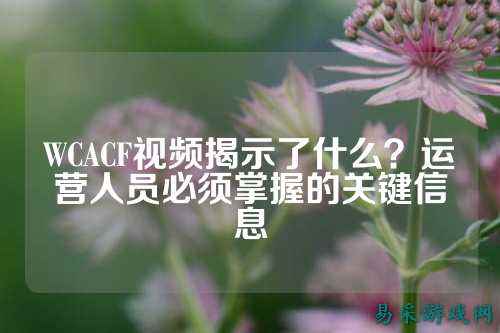 WCACF视频揭示了什么?运营人员必须掌握的关键信息