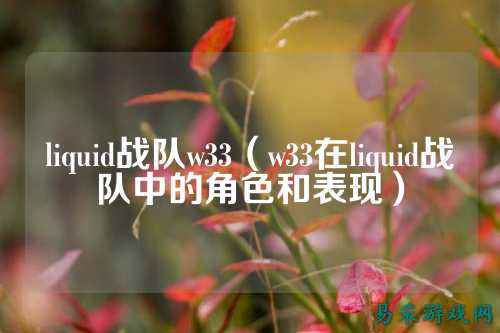 liquid战队w33（w33在liquid战队中的角色和表现）