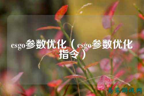 csgo参数优化(csgo参数优化指令)