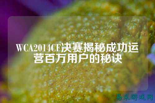 WCA2014CF决赛揭秘成功运营百万用户的秘诀
